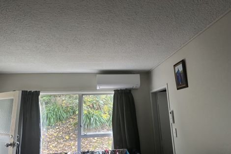 Photo of property in 56 Memorial Drive, Hamilton East, Hamilton, 3216