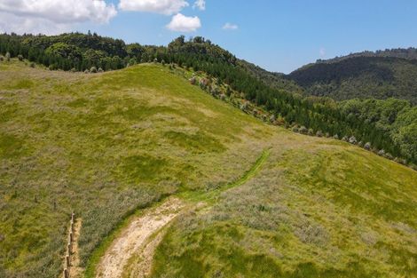 Photo of property in 46 Relph Road, Ngongotaha Valley, Rotorua, 3072