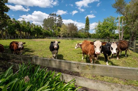 Photo of property in 139 Te Puea Road, Tikitere, Rotorua, 3074