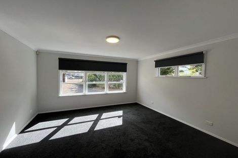 Photo of property in 141 Kawiu Road, Levin, 5510