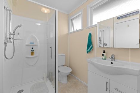 Photo of property in 164 Limbrick Street, Terrace End, Palmerston North, 4410