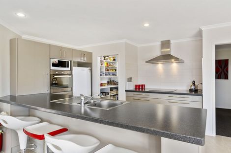 Photo of property in 33 Merlot Drive, Pyes Pa, Tauranga, 3112