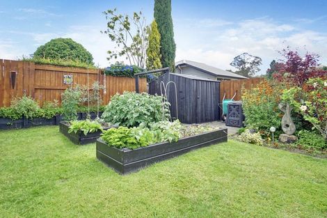 Photo of property in 6 Norm Freeman Drive, Te Puke, 3119