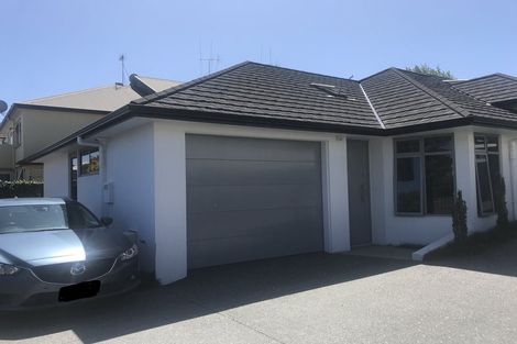 Photo of property in 17u1 Manning Street, Hamilton Central, Hamilton, 3204