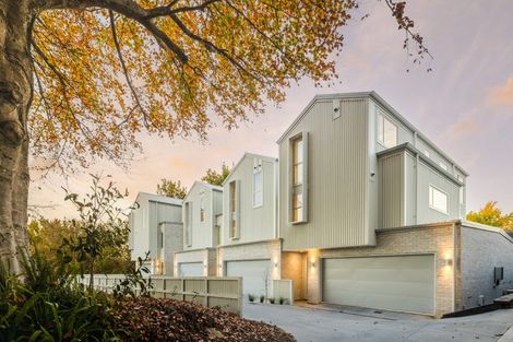 Photo of property in 4/2 Woodstock Road, Fairfield, Hamilton, 3214