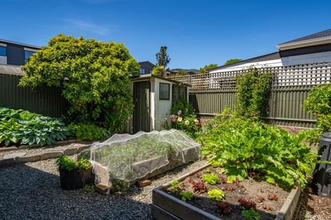Photo of property in 58 Nile Street, Nelson, 7010