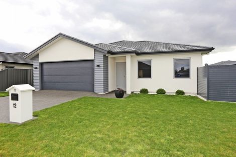 Photo of property in 12 Mckay Close, Frimley, Hastings, 4120