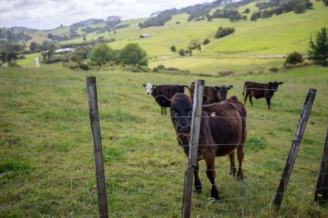 Photo of property in 444 Komokoriki Hill Road, Makarau, Warkworth, 0981