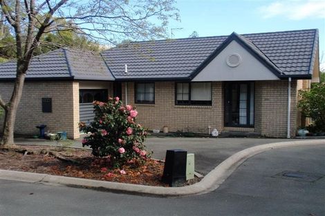 Photo of property in 29d Blair Terrace, Richmond, 7020