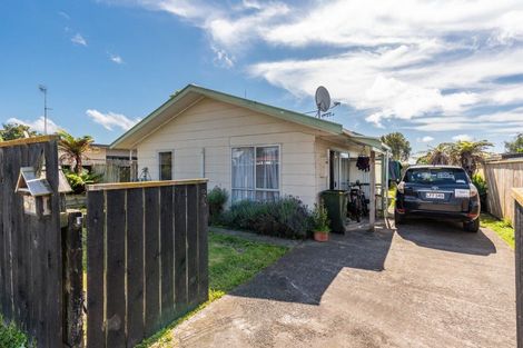 Photo of property in 179 Tiro Tiro Road, Levin, 5510
