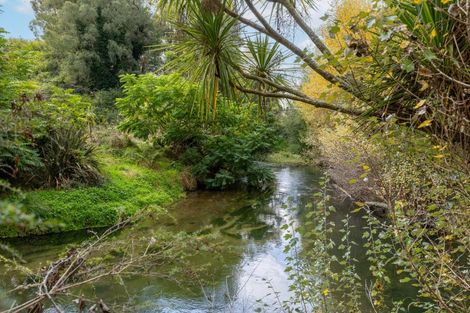 Photo of property in 192 Waotu Road, Putaruru, 3481