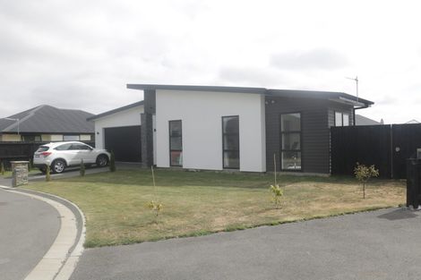 Photo of property in 14 Hosta Lane, Wigram, Christchurch, 8025