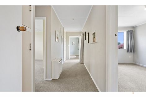 Photo of property in 118 Mcnair Road, Temuka, 7920