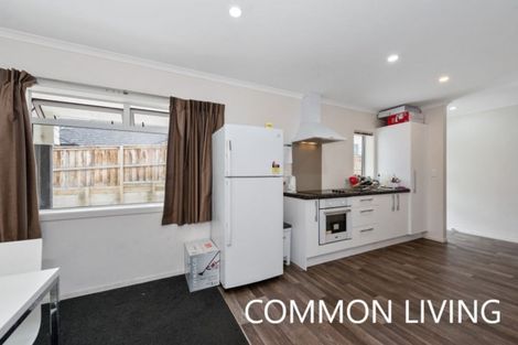 Photo of property in 19u3 Manning Street, Hamilton Central, Hamilton, 3204