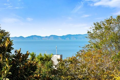 Photo of property in 13c Onslow Road, Bluff Hill, Napier, 4110