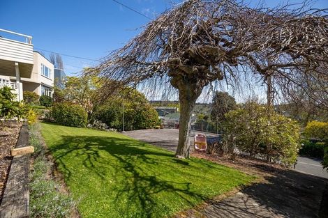 Photo of property in 16 Allan Street, Nelson South, Nelson, 7010