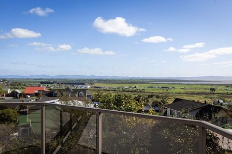 Photo of property in 224 Reservoir Road, Thames, 3500