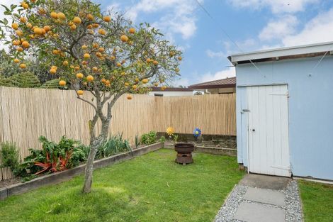 Photo of property in 104 Milton Street, The Wood, Nelson, 7010