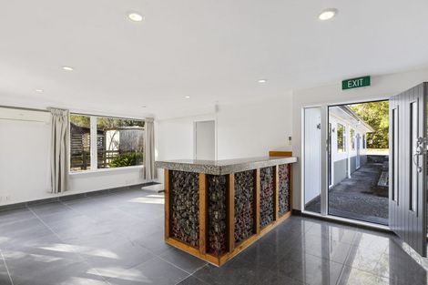 Photo of property in 162 Fred Taylor Drive, Whenuapai, Auckland, 0814