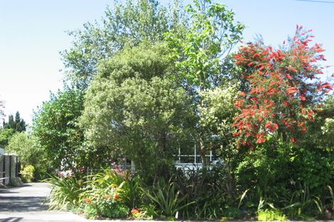 Photo of property in 31 Kelvin Street, Inner Kaiti, Gisborne, 4010