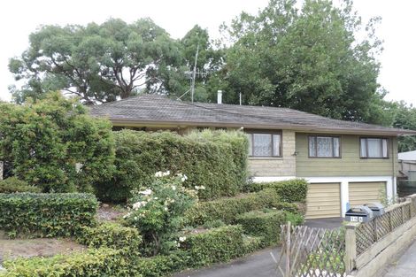Photo of property in 17 Inaka Place, Matamata, 3400