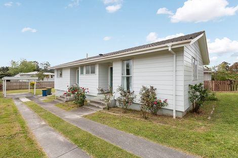 Photo of property in 55 Harrington Road, Henderson, Auckland, 0610