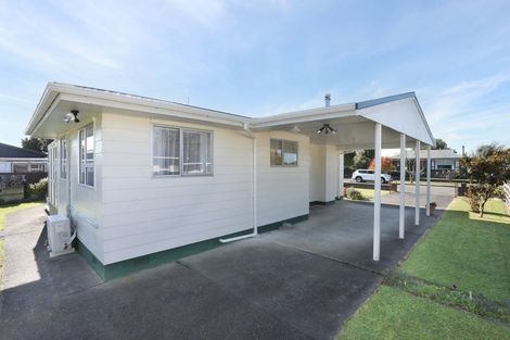 Photo of property in 3 Ruawai Road, Feilding, 4702