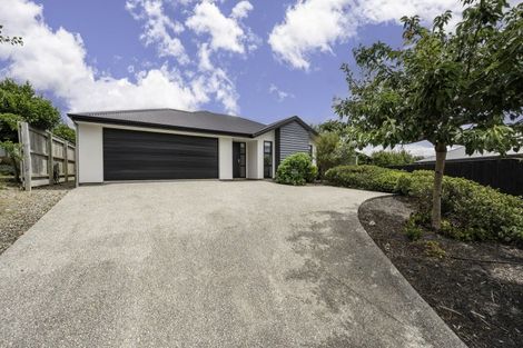 Photo of property in 10 Julius Place, Richmond, 7020