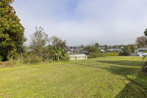 Photo of property in 21 Kauri Street, Mangakino, 3421