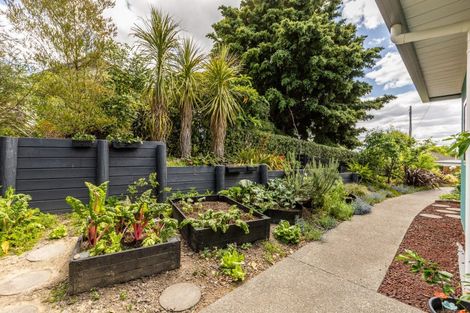 Photo of property in 40 Campbell Street, Havelock North, 4130