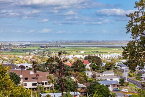 Photo of property in 115 Irishtown Road, Thames, 3500