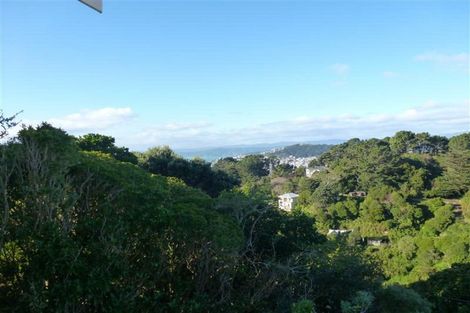 Photo of property in 44 Mount Pleasant Road, Aro Valley, Wellington, 6012