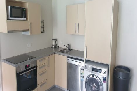 Photo of property in Dual Apartments, 110/142u Vivian Street, Te Aro, Wellington, 6011