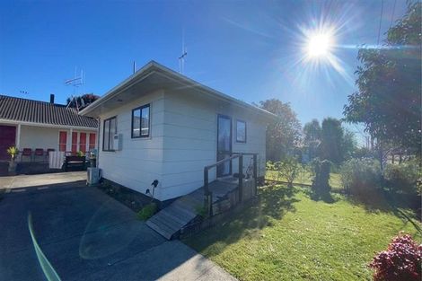 Photo of property in 173 Dey Street, Hamilton East, Hamilton, 3216