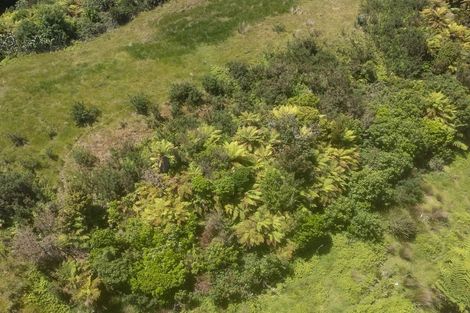 Photo of property in 3 Middle Paddock, Blue Spur, Hokitika, 7882