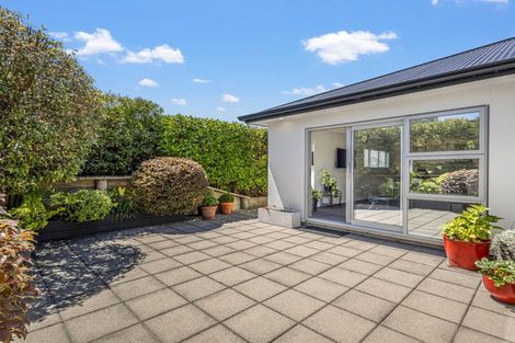 Photo of property in 83c Fitzroy Street, Terrace End, Palmerston North, 4410