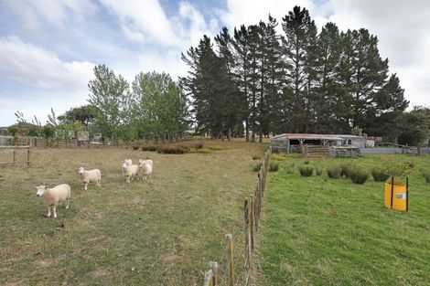 Photo of property in 45 Mill Street, Marton, 4710