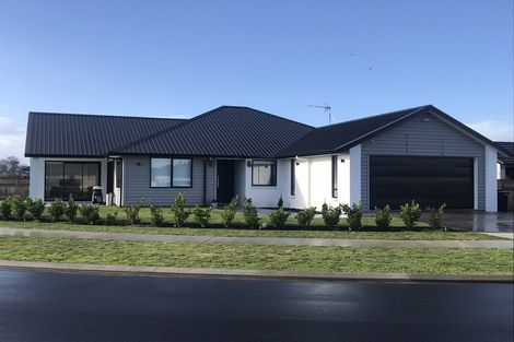Photo of property in 17 Kingdon Street, Leamington, Cambridge, 3432