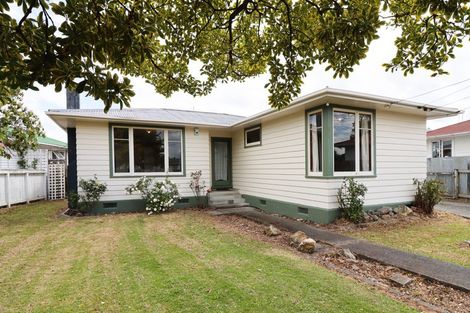 Photo of property in 58 Johnstone Street, Masterton, 5810