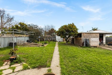 Photo of property in 24 Bill Hercock Street, Pirimai, Napier, 4112