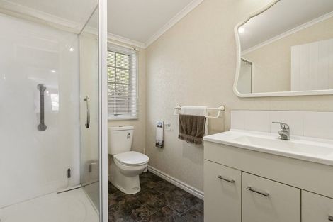 Photo of property in 202b Thompsons Track, Aongatete, 3178