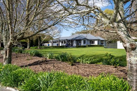 Photo of property in 80 Maungakawa Road, Cambridge, 3496