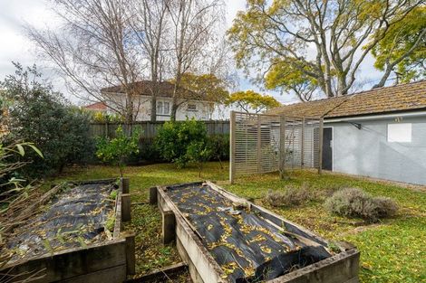 Photo of property in 38 Graham Street, Hamilton East, Hamilton, 3216