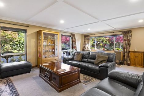 Photo of property in 45 Glenbrook Drive, Mosgiel, 9024