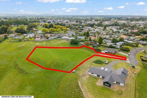 Photo of property in 27 Thornton Street, Putaruru, 3411