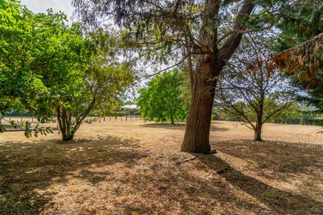 Photo of property in 127 Kent Street, Carterton, 5713