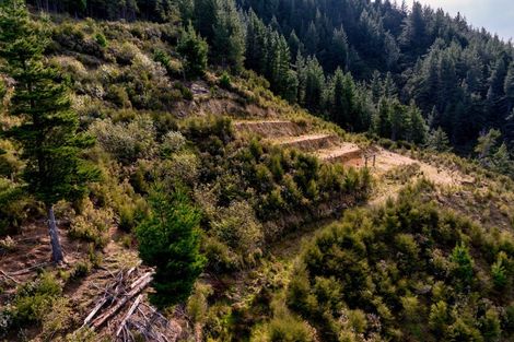 Photo of property in 895 Waikakaho Road, Tuamarina, Blenheim, 7273