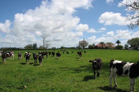 Photo of property in 595a Tauranga Road, Te Poi, Matamata, 3473