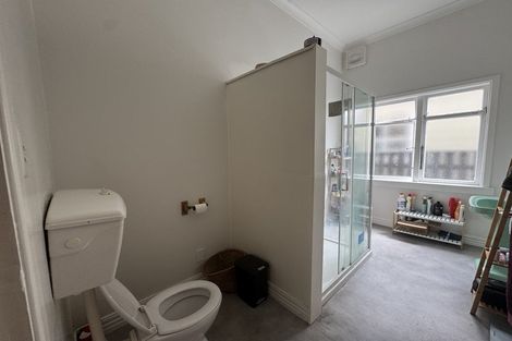 Photo of property in 93 Rintoul Street, Newtown, Wellington, 6021