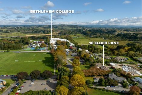 Photo of property in 16r Elder Lane, Bethlehem, Tauranga, 3110